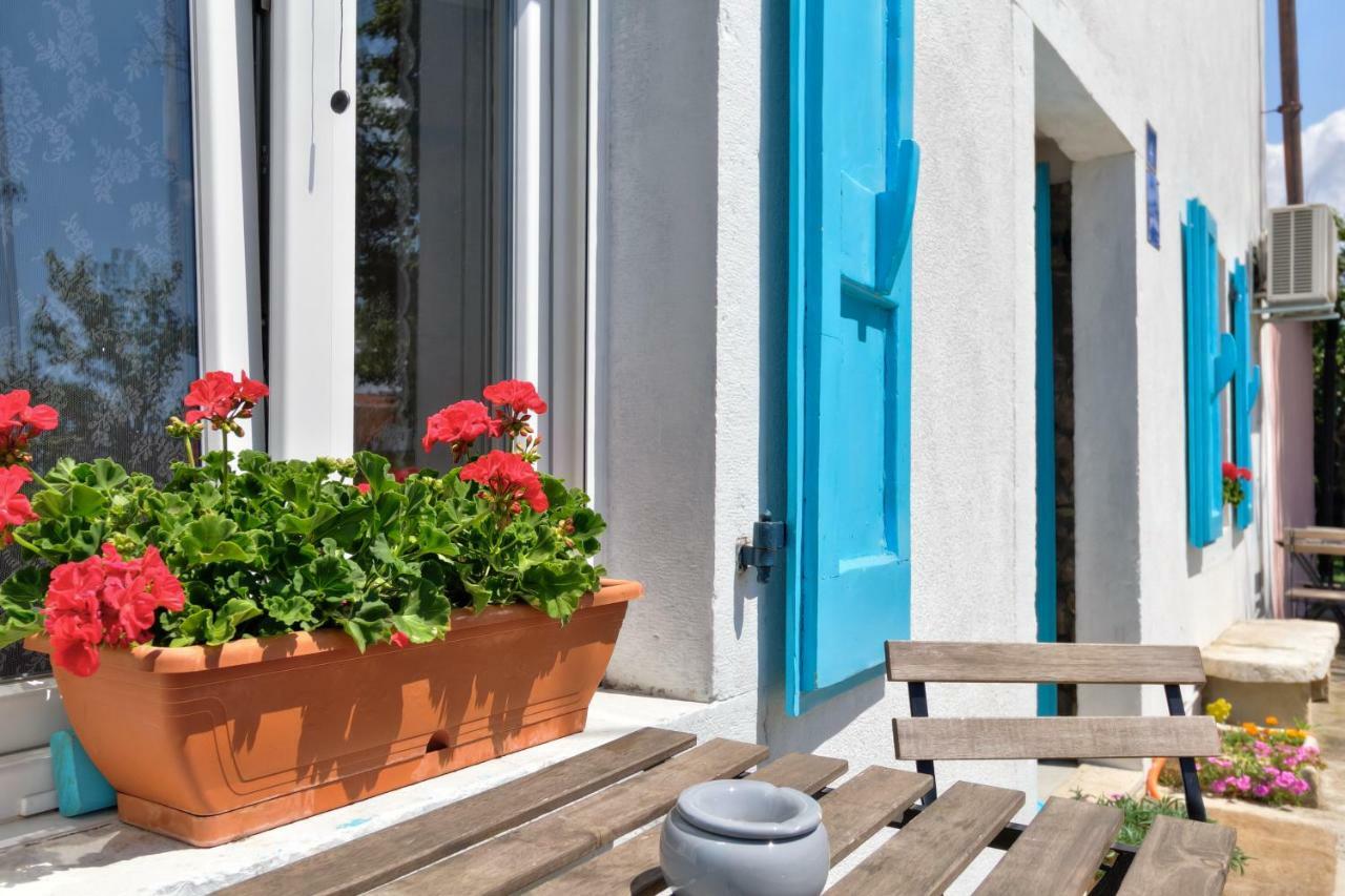 Apartmani Anna Umag Exterior photo